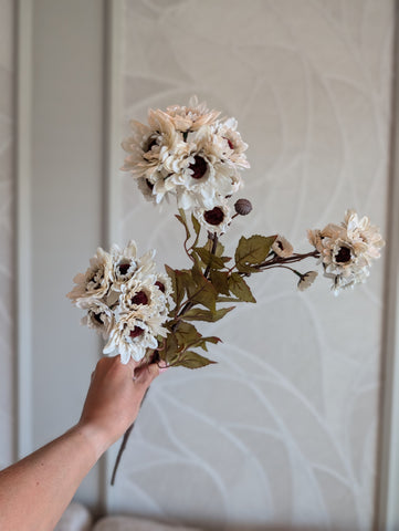 Wild | Cream | 77cm |