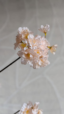 Bloesem | creme | 84cm |