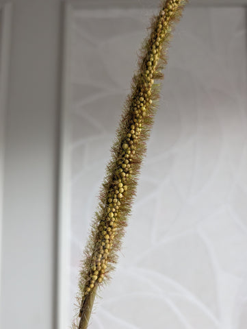 Autumn green | Branch | 100cm