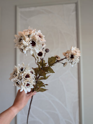 Wild | Cream | 77cm |