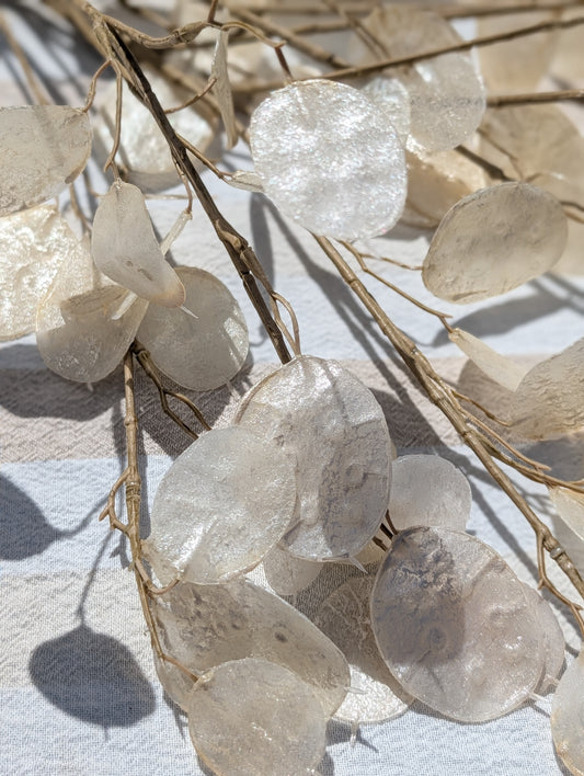 Lunaria| Parelmoer | 88cm |