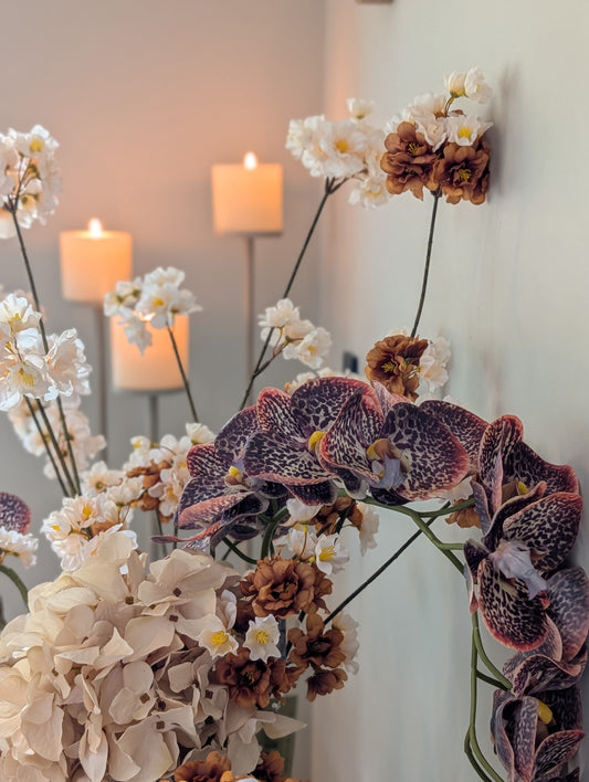 Phalaenopsis | 111cm |