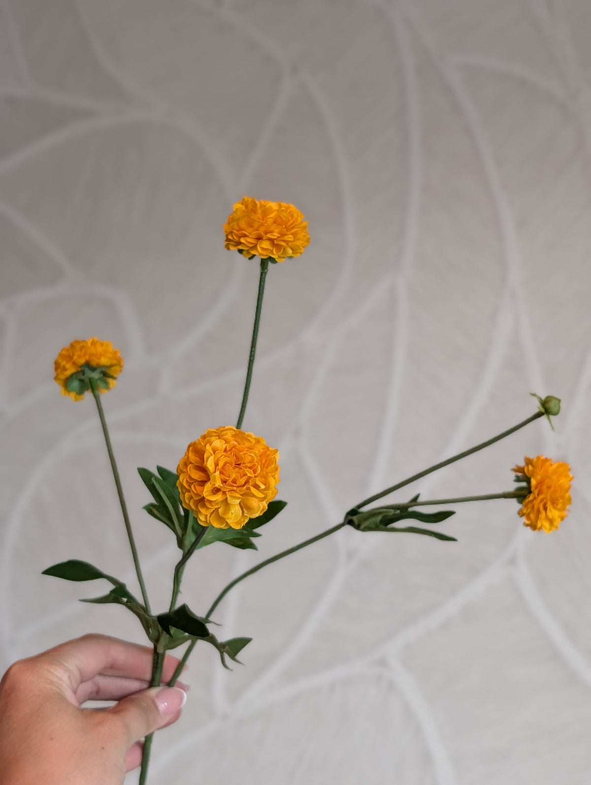Oranje | Pompoms | 50cm |
