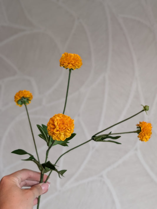 Oranje | Pompoms | 50cm |