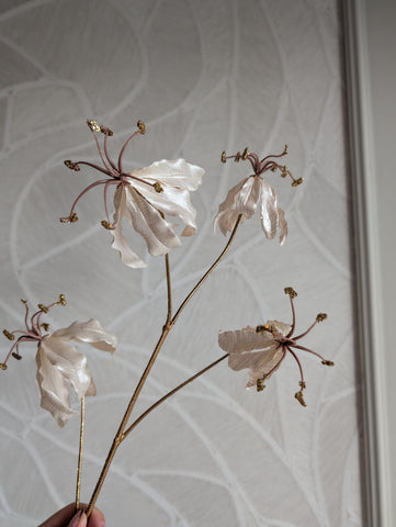 Gloriosa | Parelmoer | 85cm |