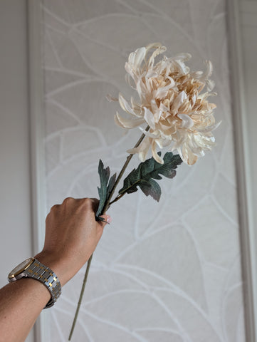 Spidermum | Chrysant | 68cm |