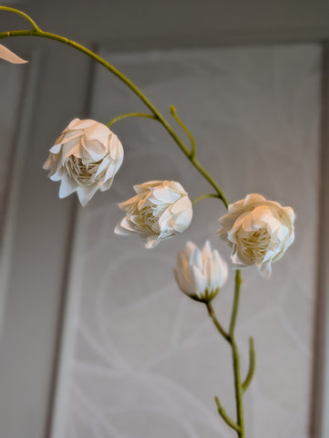 Yucca | white | 74 cm |