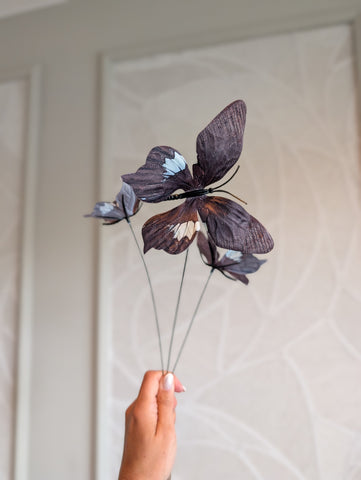 Brown | Butterfly | 62 cm |