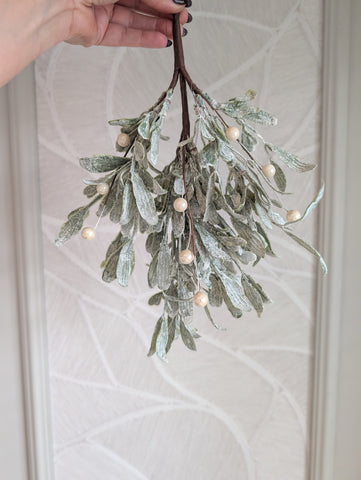 Mistletoe | Maretak |