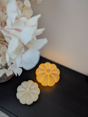 Pompoen set | Creme |