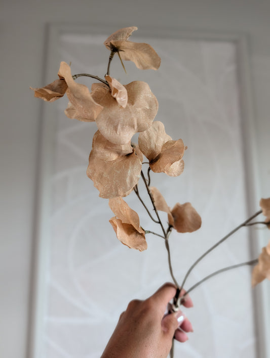 Erwtebloemtak | 73cm |