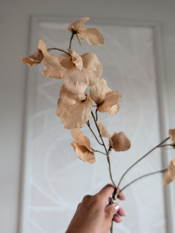 Erwtebloemtak | 73cm |