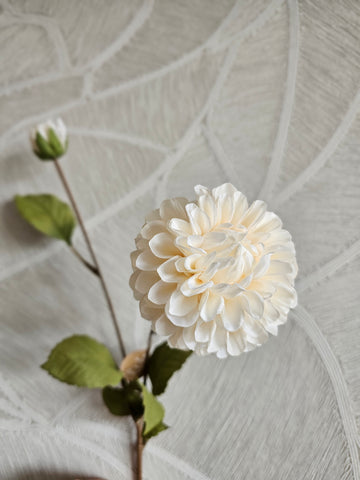 Dahlia | Creme |