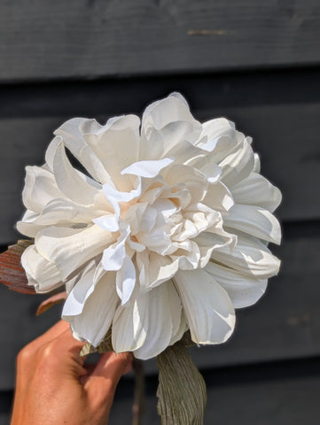 Dahlia | Warm wit | 57cm |