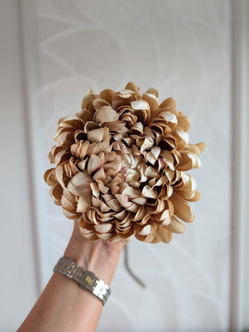 Autumn | Chrysant|