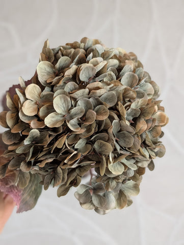 Hortensia | Antiek groen| 70cm |