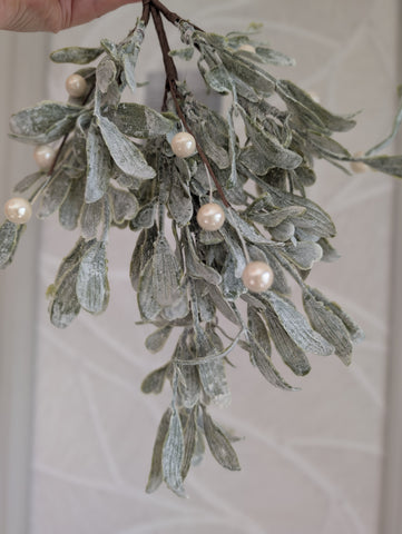 Mistletoe | Maretak |