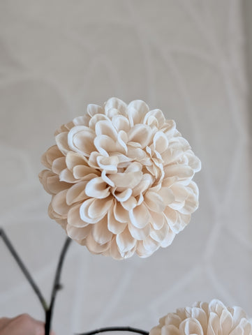 Beige | Dahlia | 75 cm |