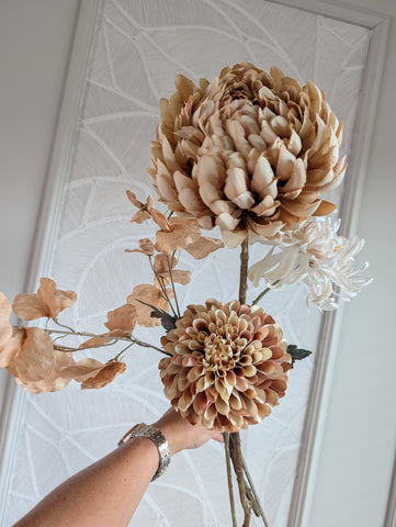 Autumn | Chrysant|