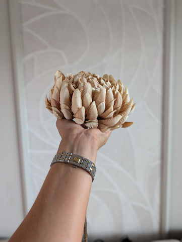 Autumn | Chrysant|