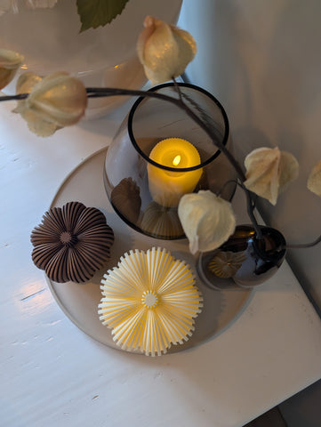 Pompoen set | Creme Bruin |
