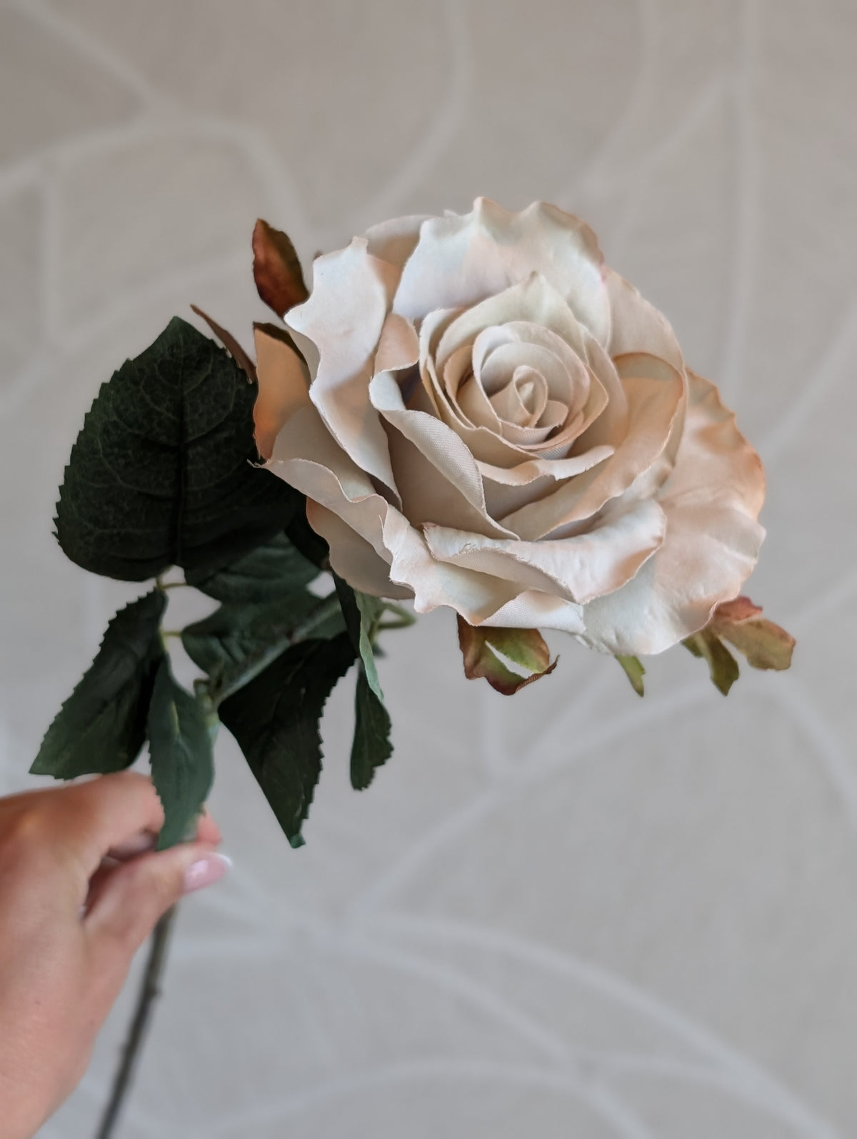 Antique | Sand | Rose | 62cm |