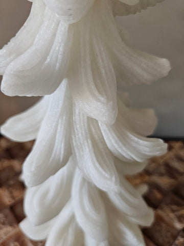 Kerstboompjes